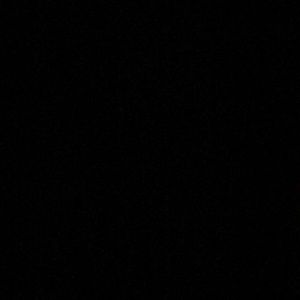 Meet your Posher, Louie